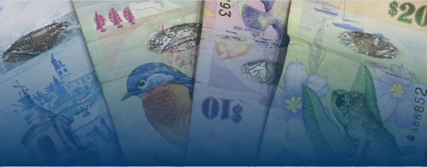 cash in note form