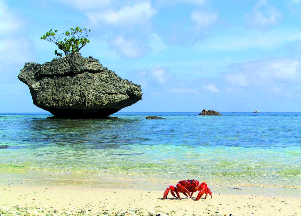 Visit stunning Christmas Island and meet its red crabs! Image courtesy of pipmagazine.com.au.