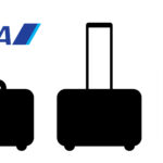 ANA baggage fees