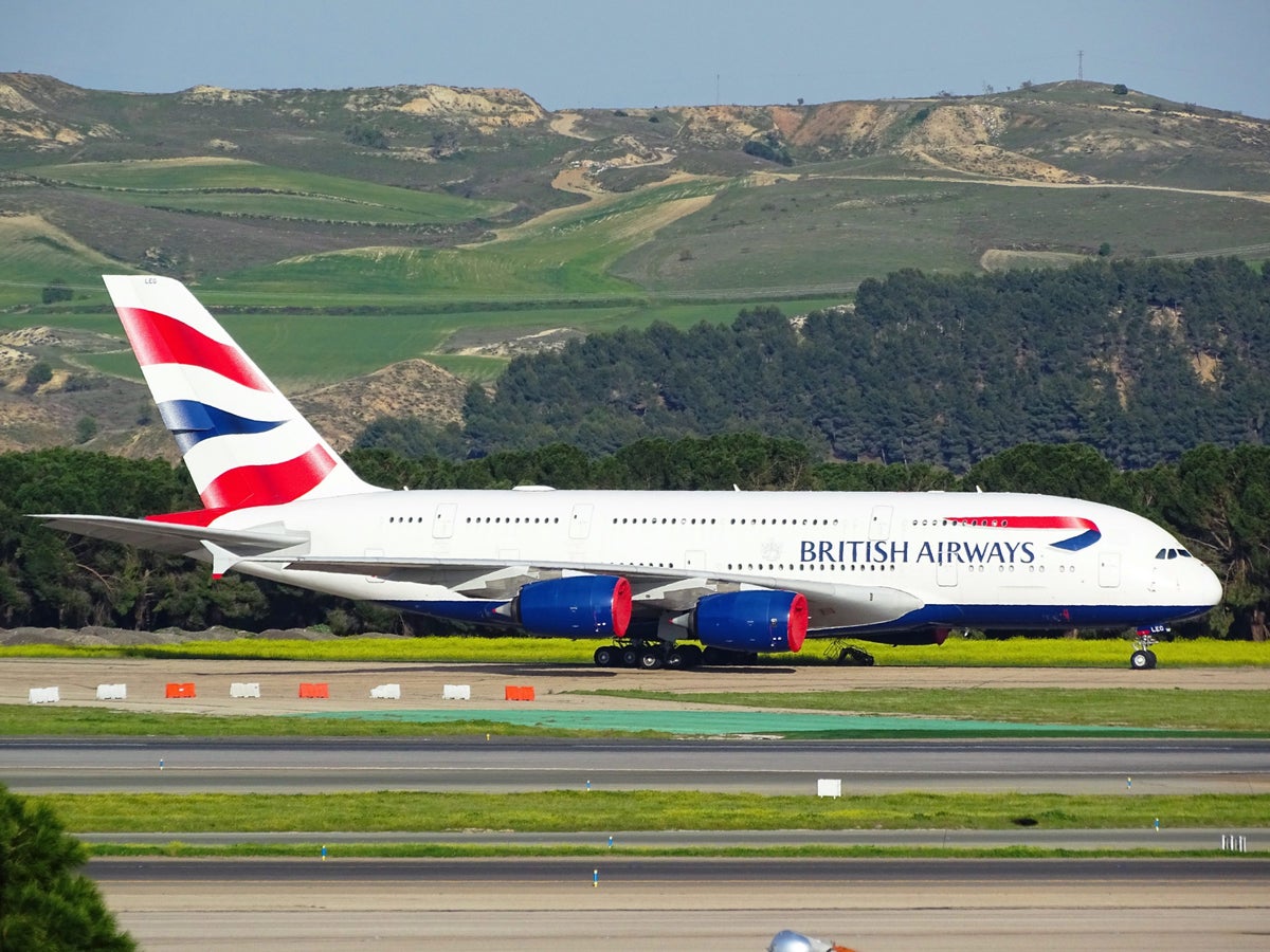 British Airways Baggage Fees & Tips To Cover the Expenses