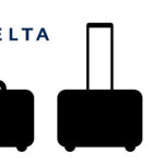 Delta baggage fees
