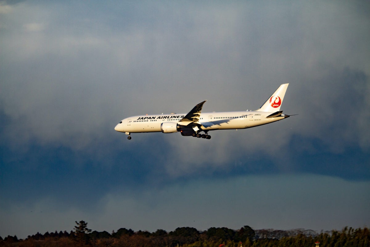 Japan Airlines Baggage Fees & Tips To Cover the Expenses