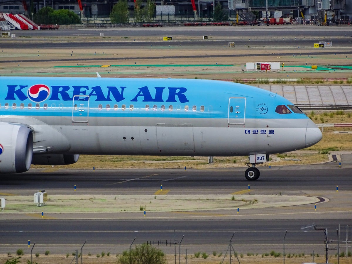 Korean Air Baggage Fees & Tips To Cover the Expenses