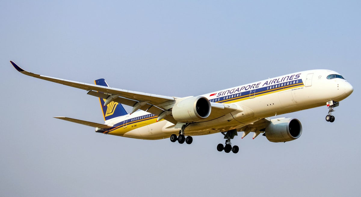 Singapore Airlines Baggage Fees & Tips To Cover the Expenses