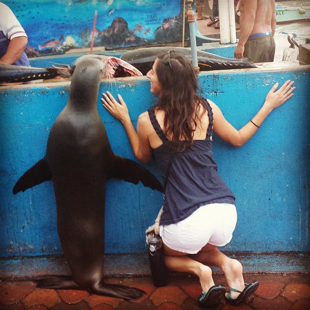 Want to hand with seals at a fish market in the Galapagos? Use your credit card points and airline miles to get you there. 