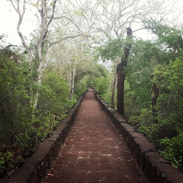Galapagos Islands, Path to Tortuga Bay, use your airline and credit card points to take you there!