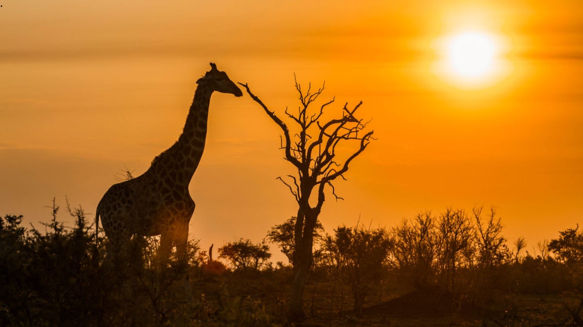 [Expired] [Deal Alert] North America to Johannesburg for $2,250 R/T in Business