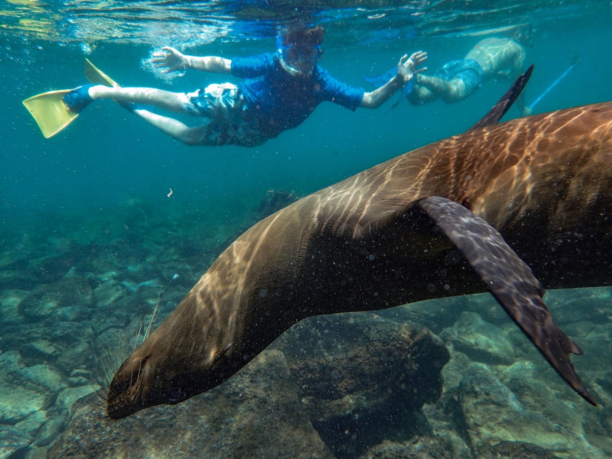 Real Redemptions, The Galapagos Islands