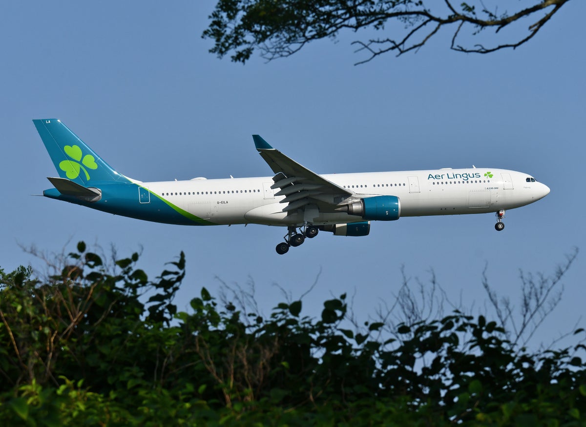 Aer Lingus A330 300 Landing JFK 22R Trees