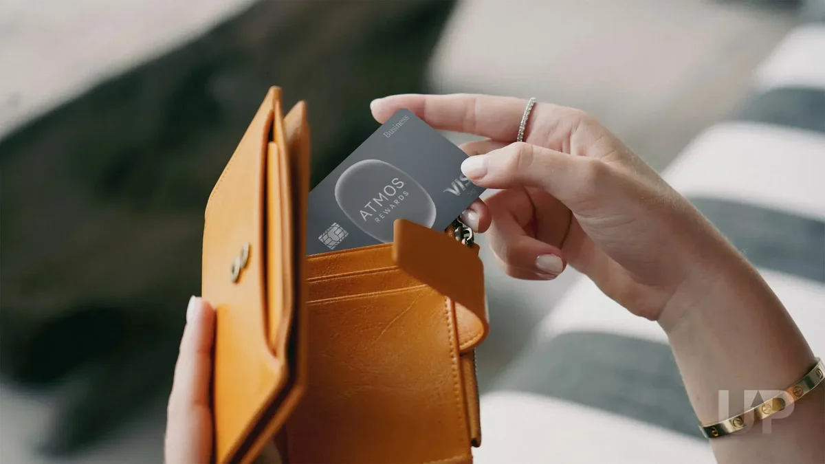 Alaska Atmos Business card brown wallet