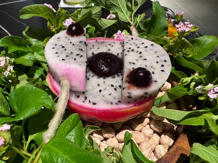 Conrad Tulum Autor dragonfruit