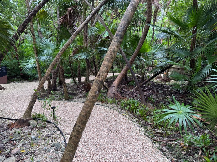Conrad Tulum Sacbe Trail