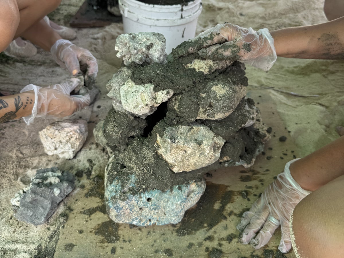 Fiji Marriott Resort Momi Bay fish house activity