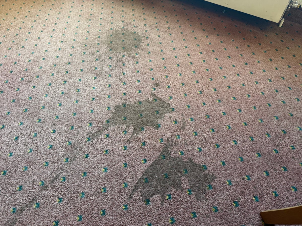 Four Essen stains on carpet