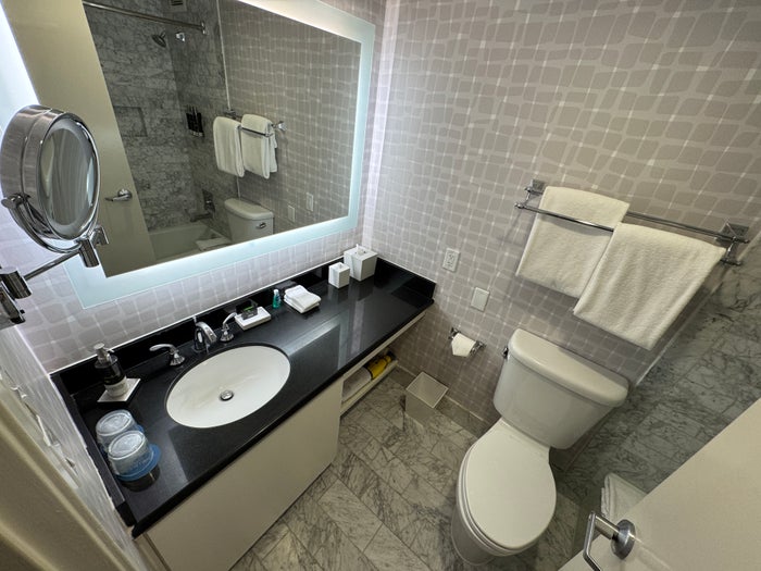 Hyatt Centric Delfina Santa Monica vanity toilet