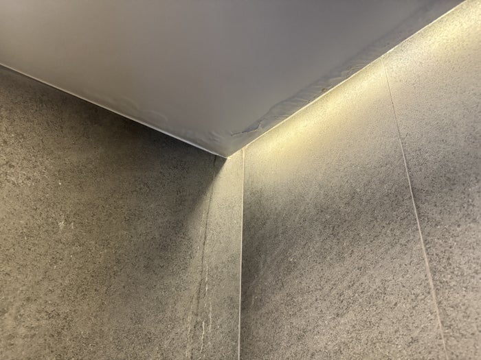 Hyatt Regency Mexico City Insurgentes Bathroom Ceiling Detail