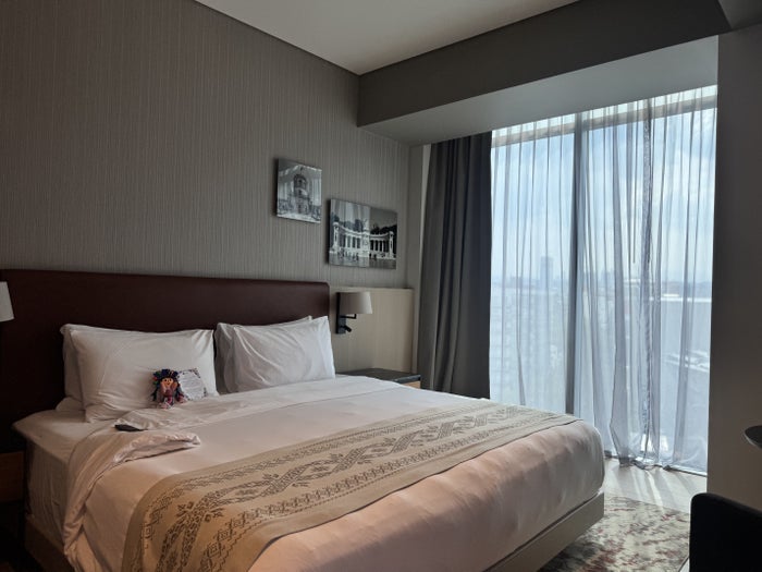 Hyatt Regency Mexico City Insurgentes Bedroom with Window