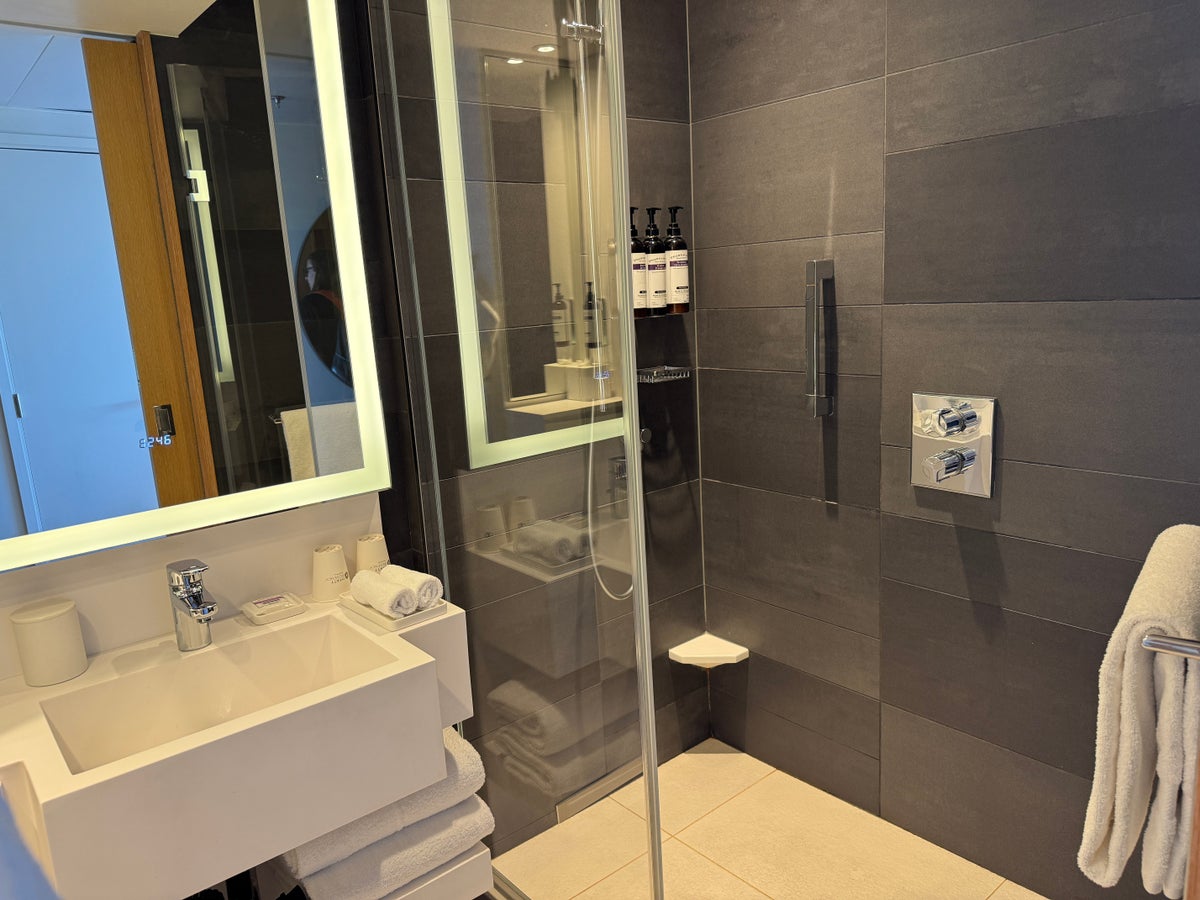 Hyatt Regency Paris Etoile shower