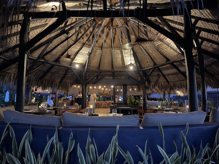 Hyatt Thompson Zihuatanejo Mexico Ceniza at night