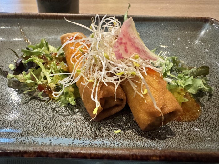 Hyatt Vivid Playa del Carmen Asiana Spring Rolls