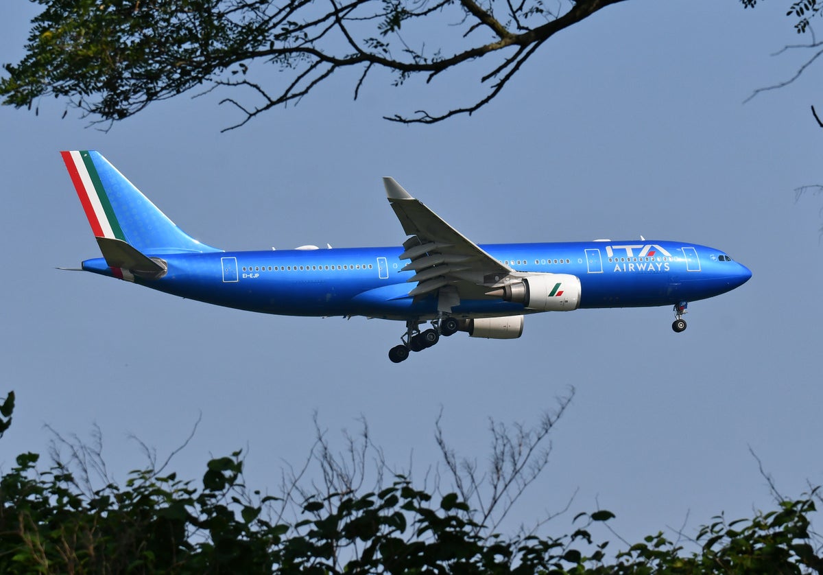 ITA Airways A330 200 Landing JFK 22R Trees