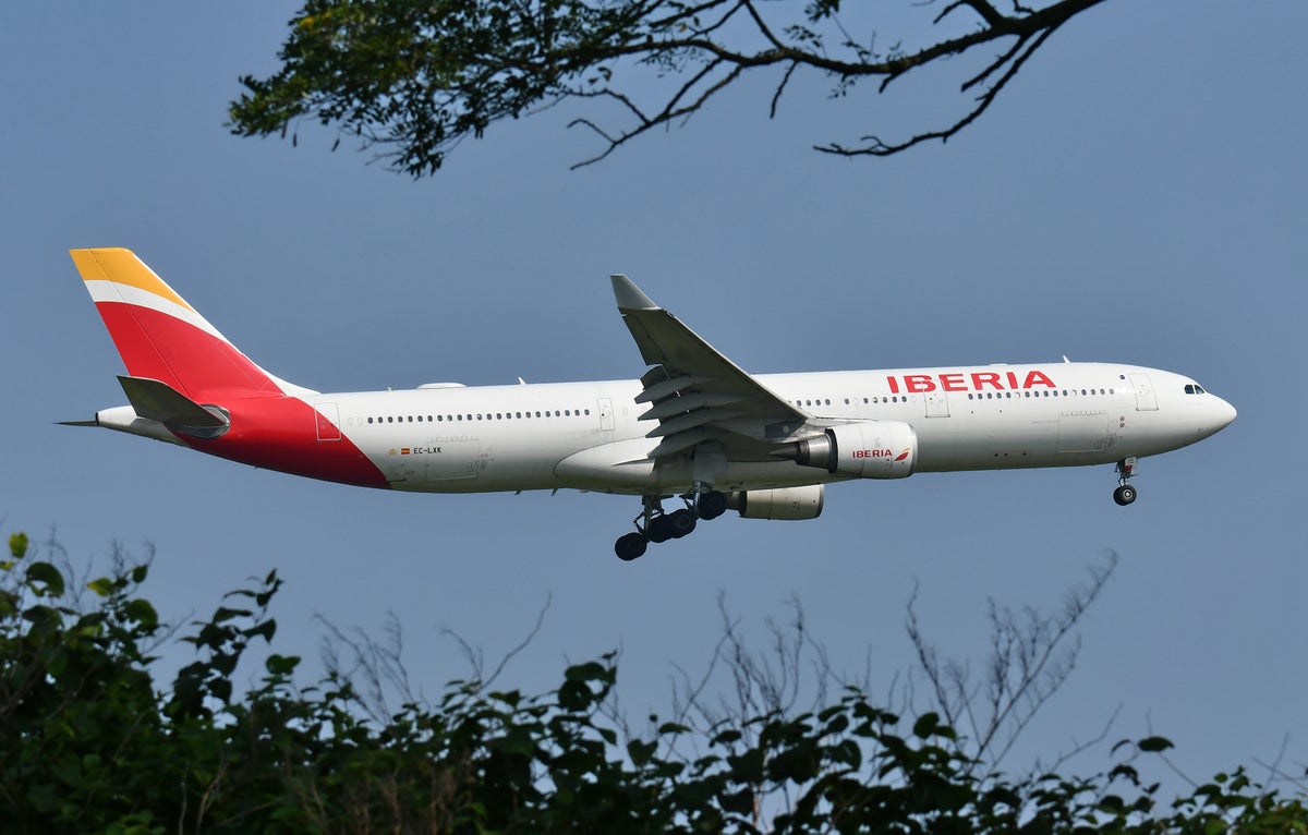 Iberia A330 300 Landing JFK 22R Trees