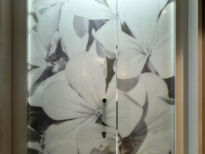 InterContinental Cartagena Bathroom Door