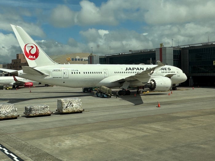 JAL aircraft at gate