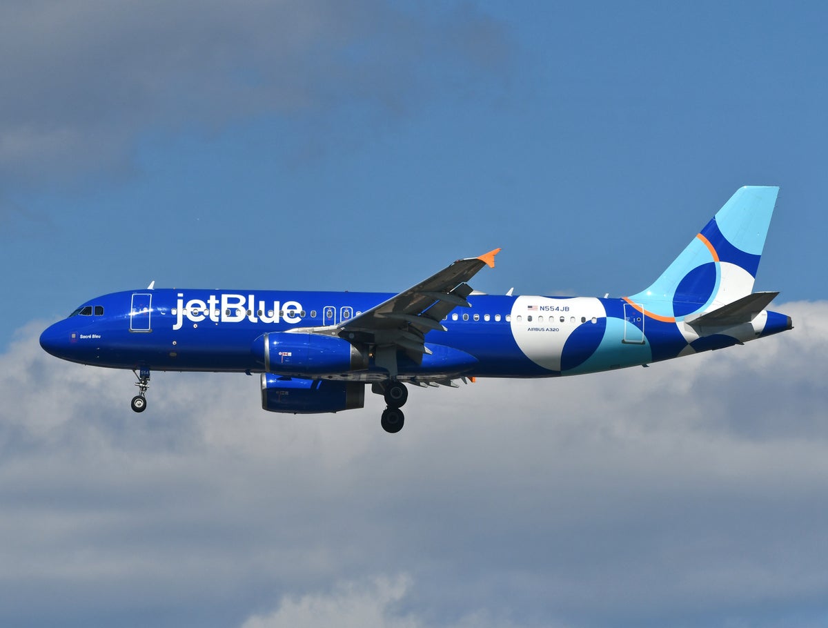 JetBlue Airbus A320 Blue Colors Landing LGA 1