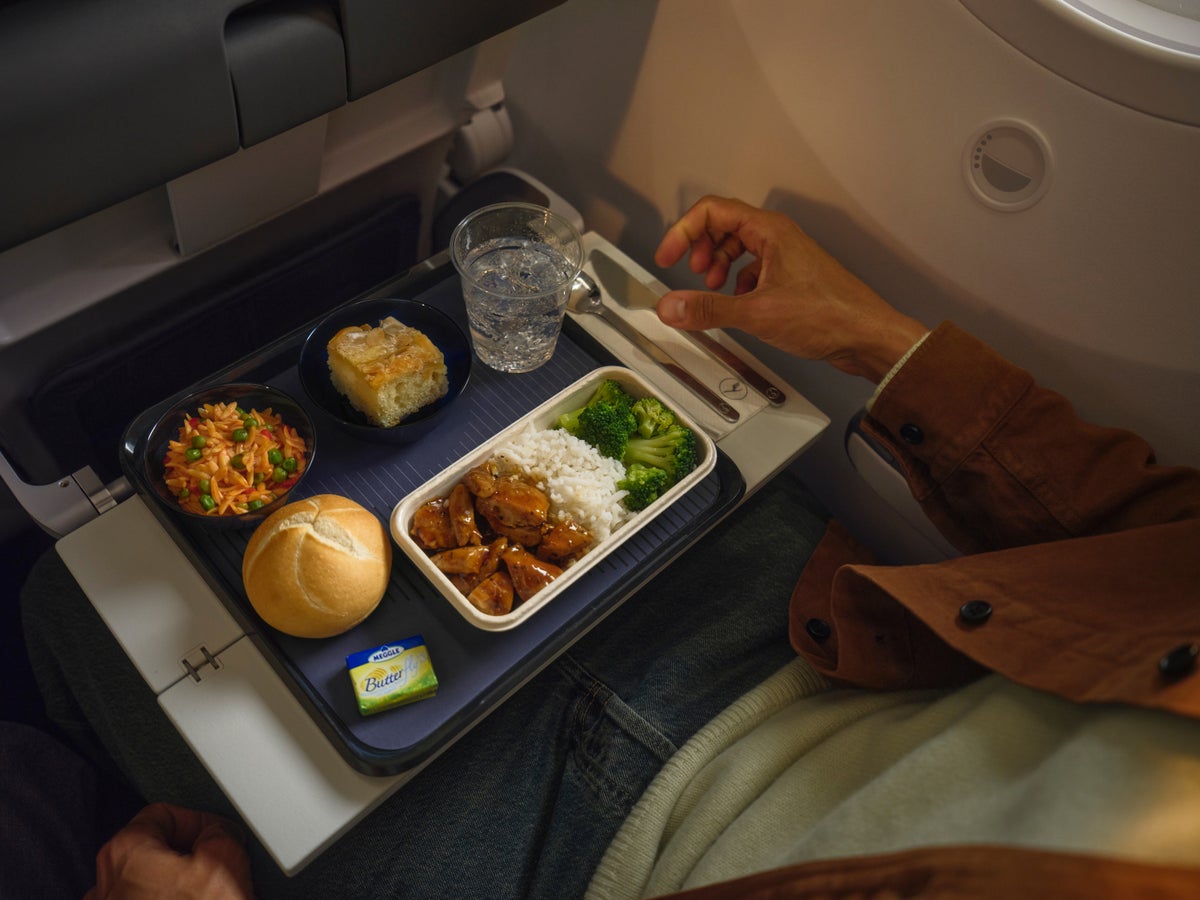 Lufhansa FOX economy meal