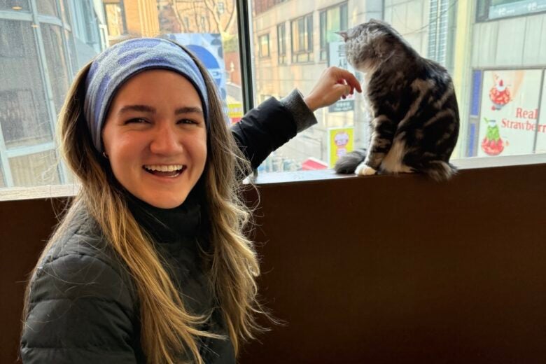 McKay Cat Cafe Seoul Korea