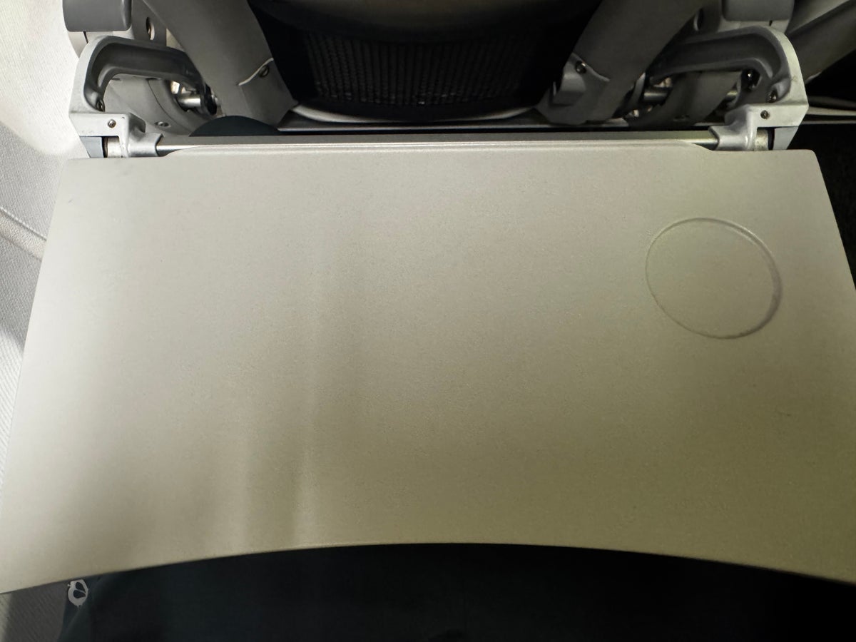 Norwegian B737 800 tray table