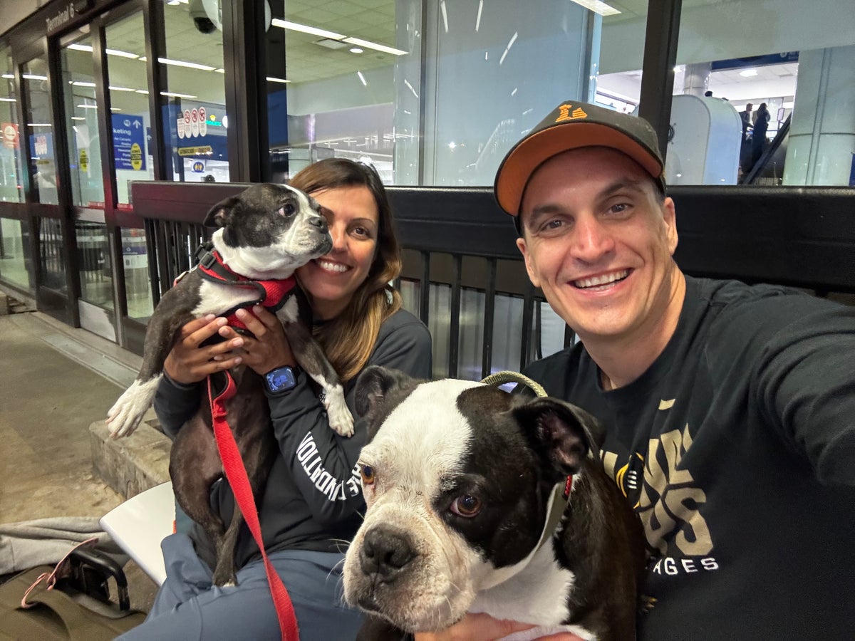 Ryan Carol and dogs at LAX