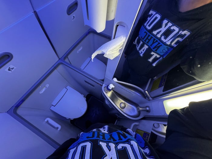 Ryanair Boeing 737 800 lavatory