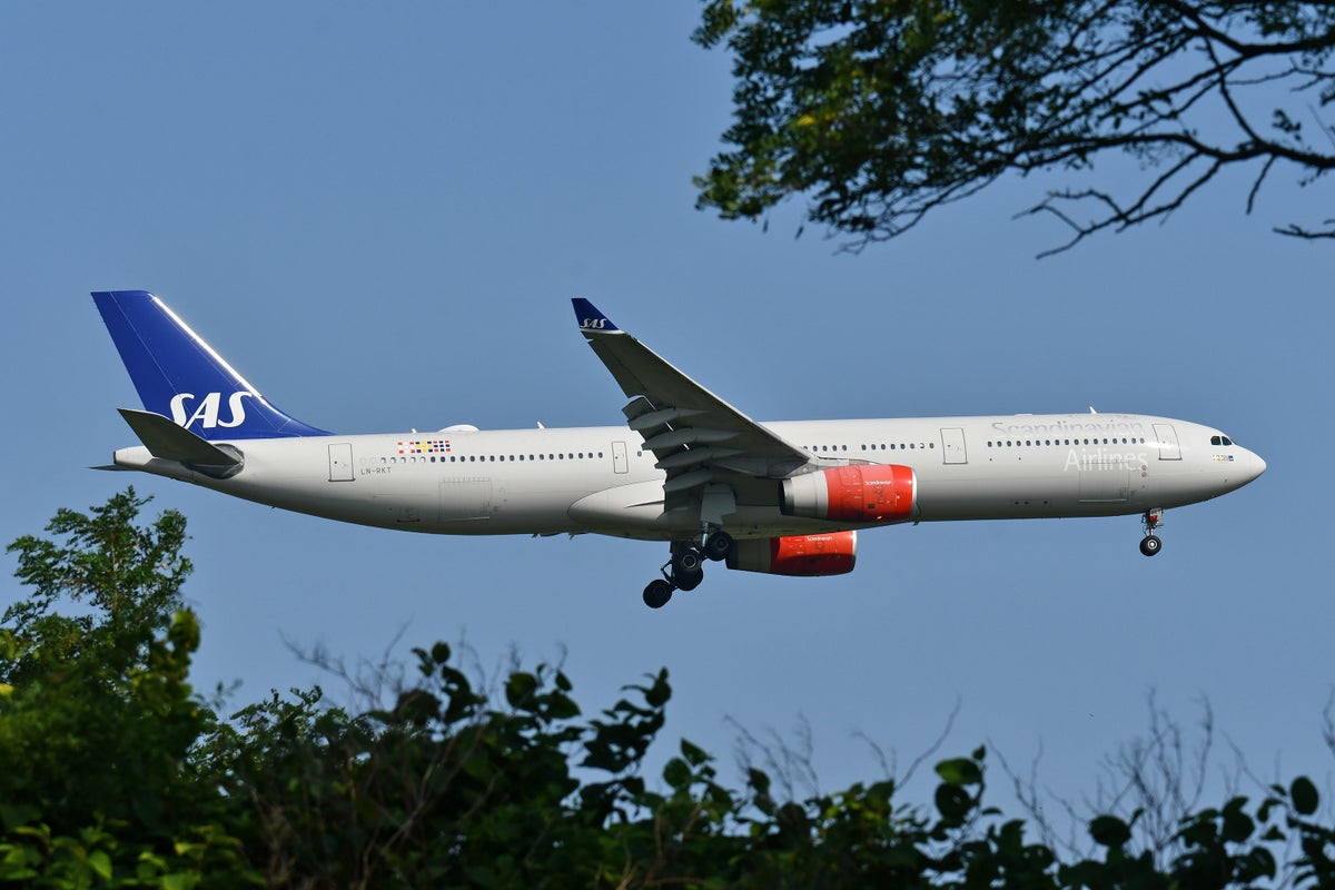 SAS Scandinavian A330 300 Landing JFK 22R Trees