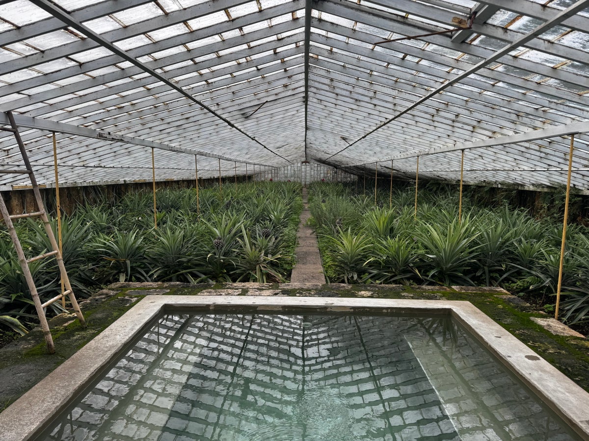 Senhora da Rosa Mr Mrs Smith Azores hot tub