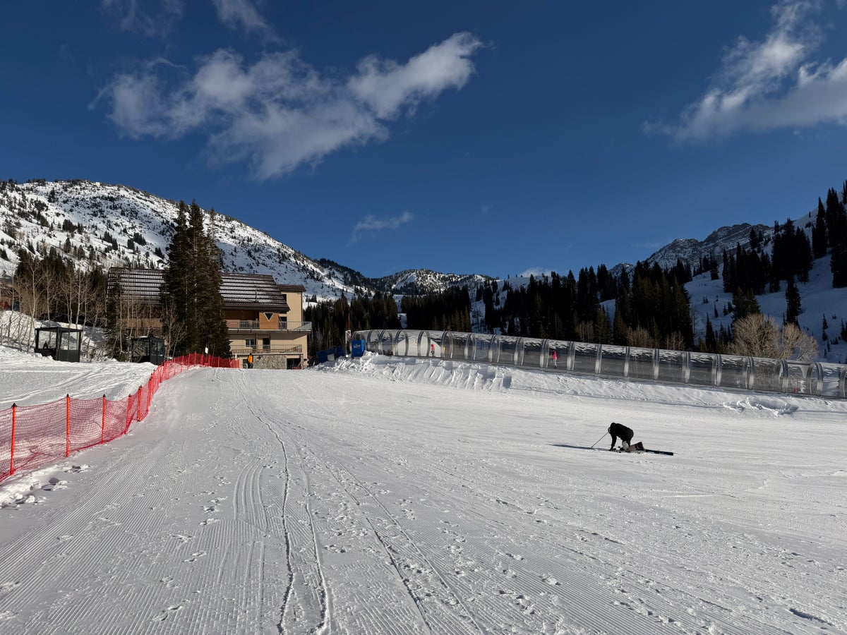 Snowpine Lodge Learner Area