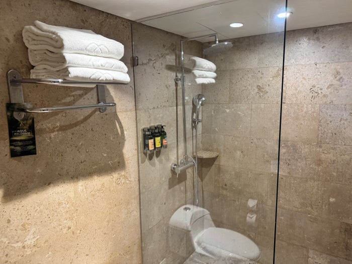 Sofitel Bogota Victoria Regia Bathroom Shower