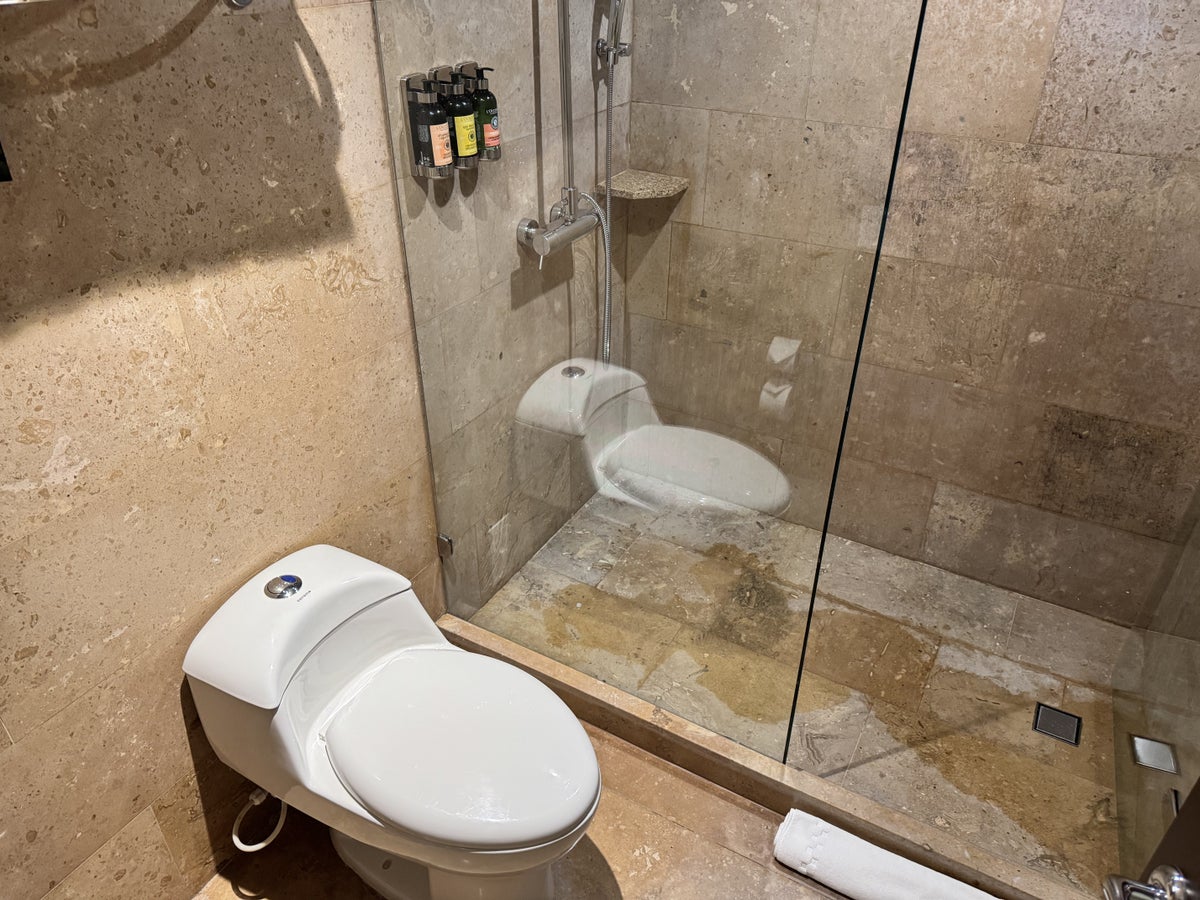 Sofitel Bogota Victoria Regia Bathroom Toilet Shower