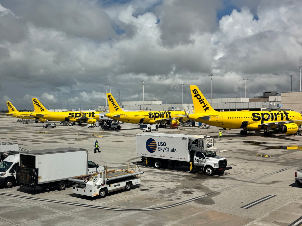 Spirit Airlines planes at FLL gates