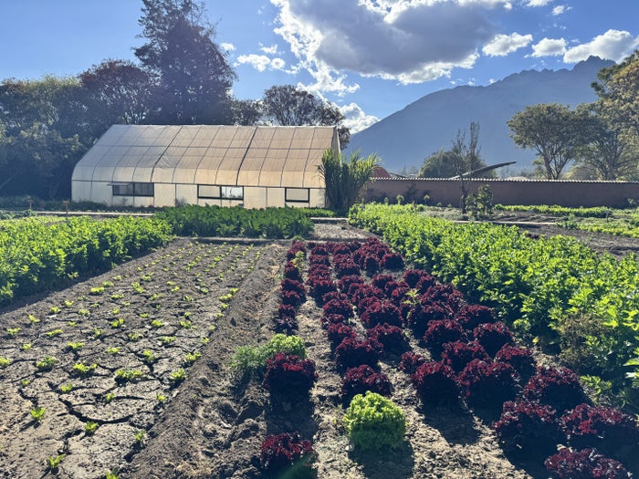Tambo del Inka Marriott Luxury Collection Garden Greenhouse