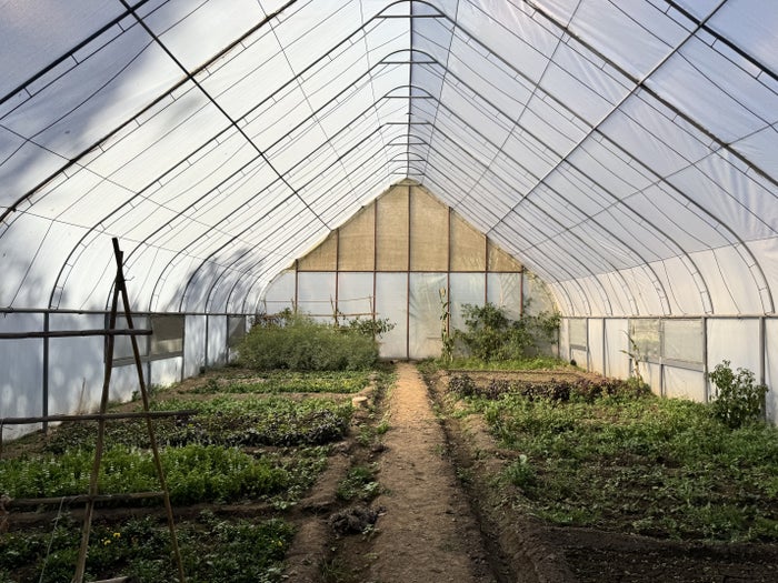 Tambo del Inka Marriott Luxury Collection Greenhouse Interior