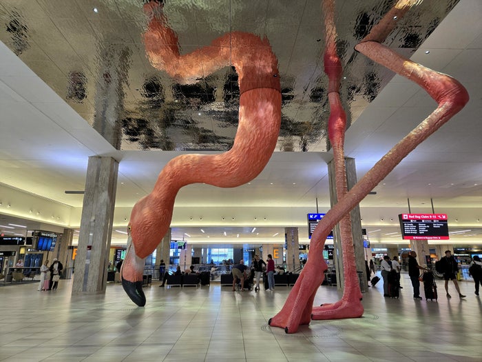 Tampa International Airport [TPA] — Ultimate Terminal Guide