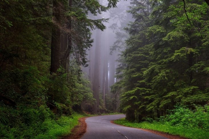 Redwood National Park Redwood National Park