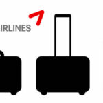 Asiana Airlines Baggage Fees