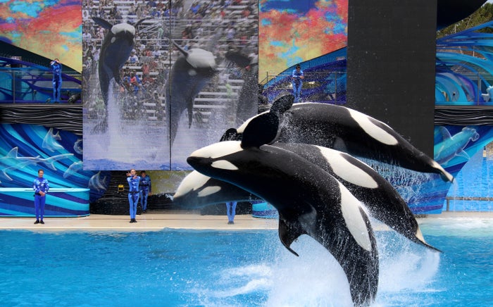 SeaWorld San Diego SeaWorld San Diego