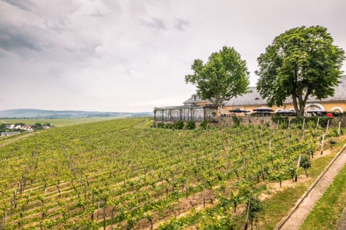 Lufthansa First Class Porsche Experience Vineyard