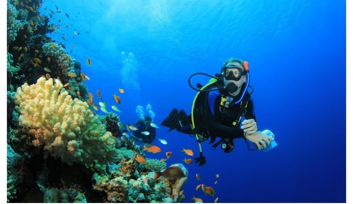 Diving Under water scuba diver