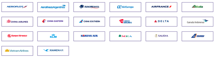 SkyTeam Logo