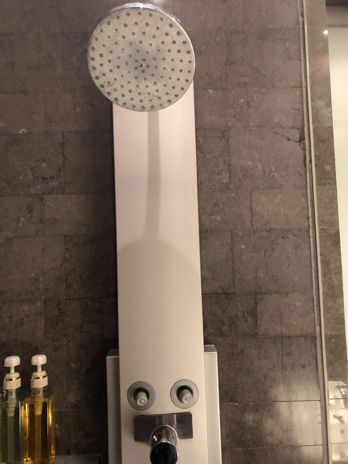 Japan Airlines First Class Lounge Shower Head